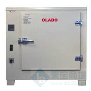 欧莱博电热恒温鼓风干燥箱DHG-9070型